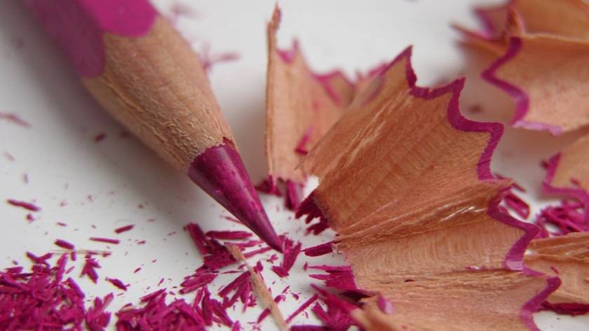 Artículo: 12 consejos dibujar plantas